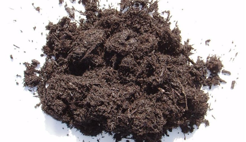 Hotel U Kata Kutná Hora